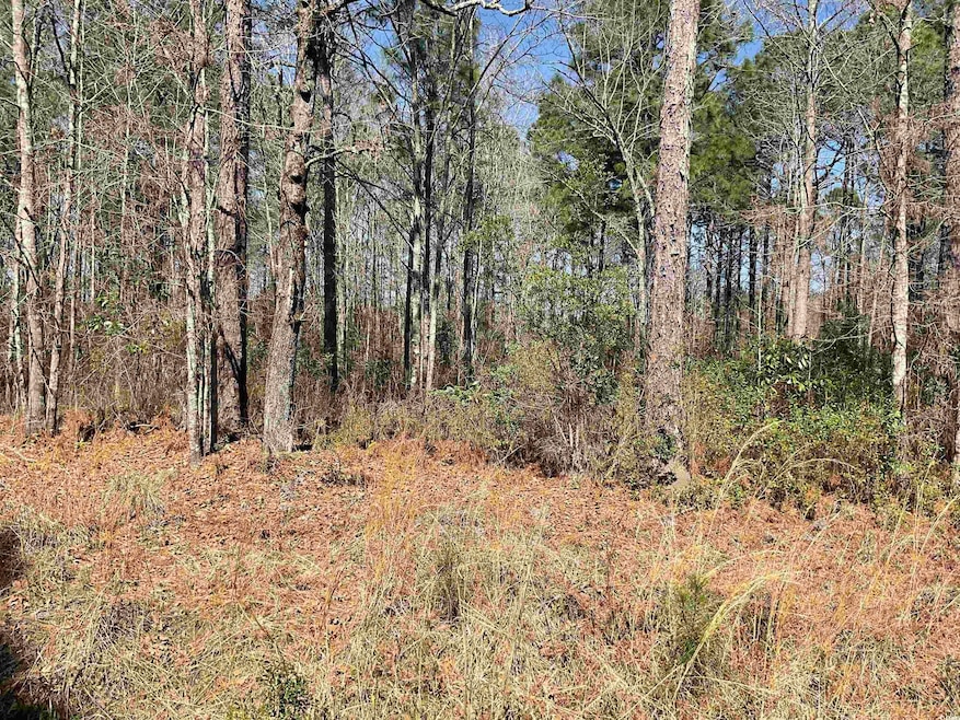 TBD Florence Ln, Kingstree, SC 29556 - photo 1