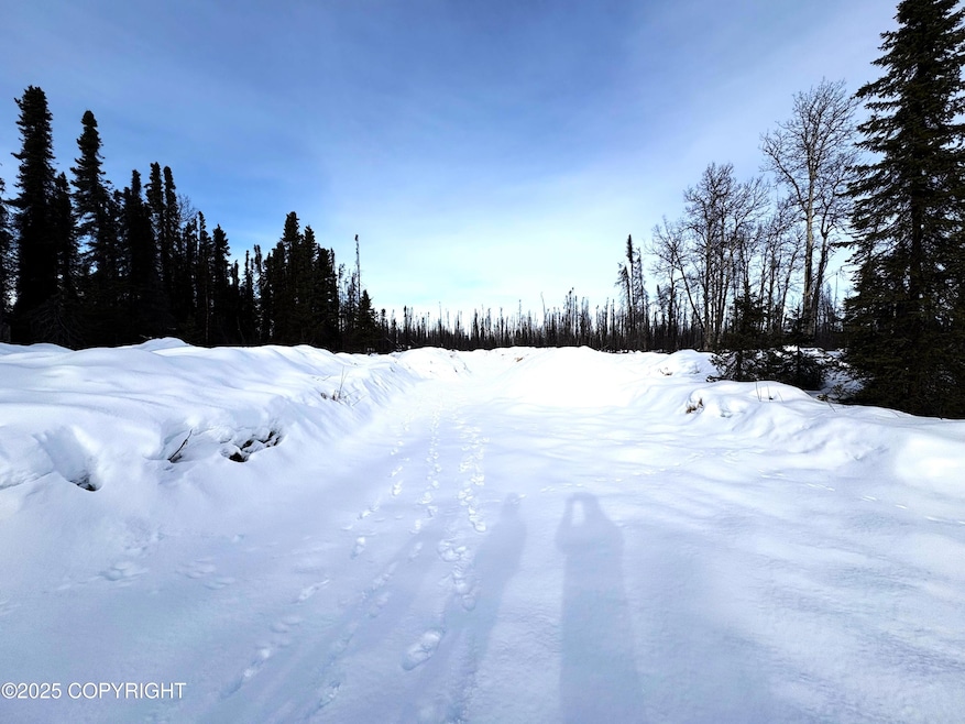 GOV S Leroy Davies Rd, Talkeetna, AK 99676 - photo 1