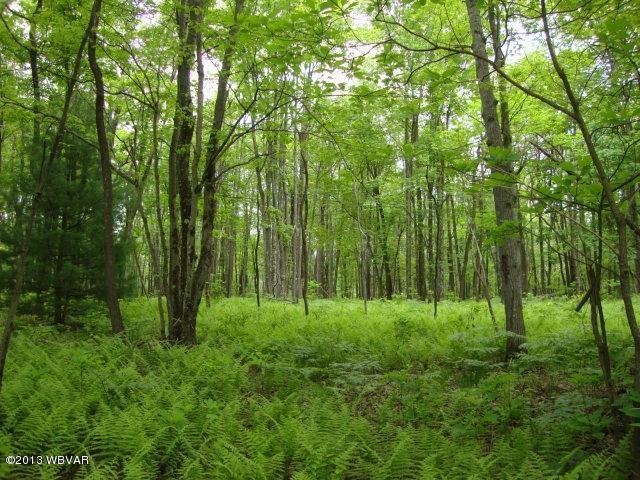DSC01709