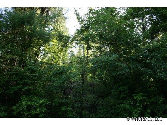 9999 N Turkey Creek Rd, Leicester, NC 28768 - photo 1