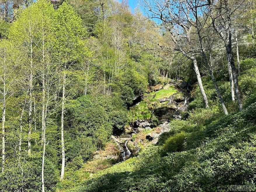 C1 Falling Water Dr, Highlands, NC 28741 - photo 1