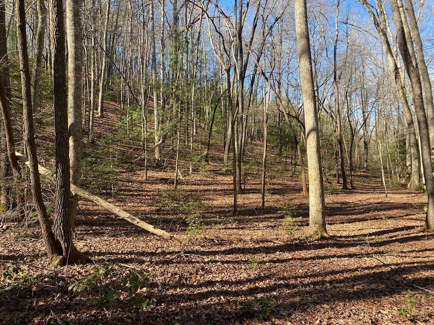 TBD Collett Woods Trail, Andrews, NC 28901 - photo 1