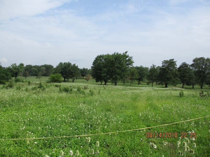 VE E Offner Rd, Beecher, IL 60401 - photo 1