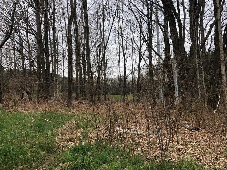 0 Shearer Rd, Colrain, MA 01340 - photo 1