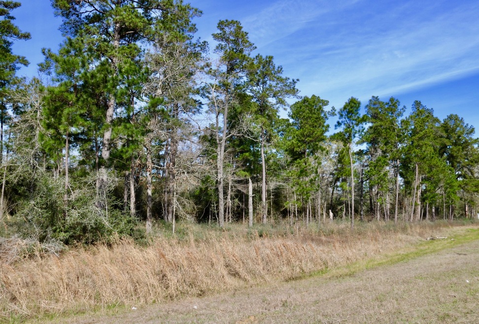 001 Nichols Sawmill Rd, Magnolia, TX 77355 - photo 1