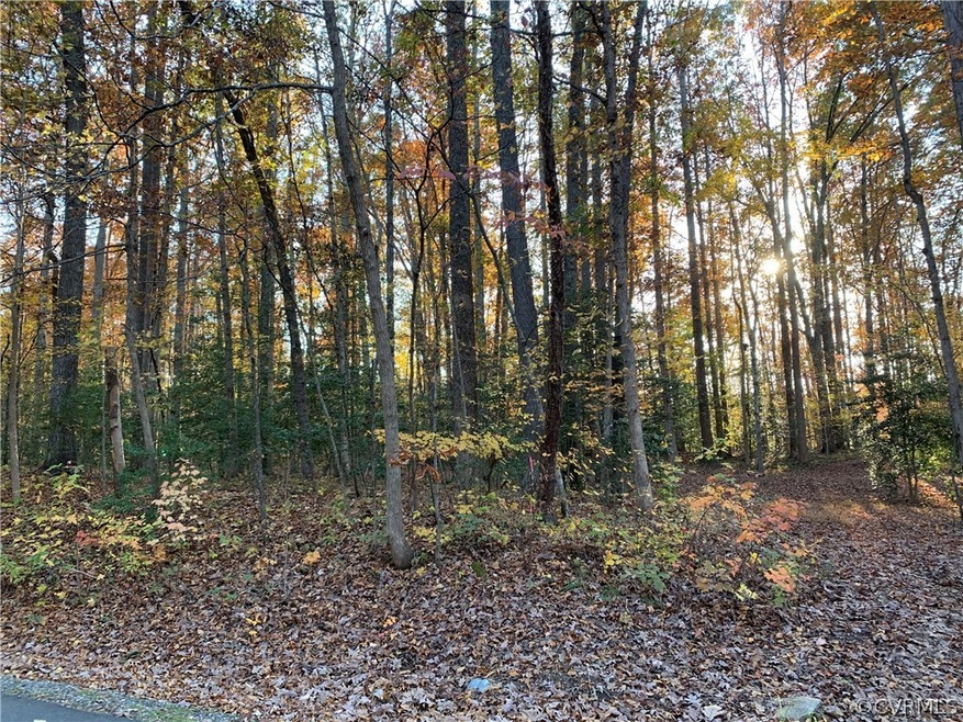 1032 Poplar Dr, Louisa, VA 23093 - photo 1