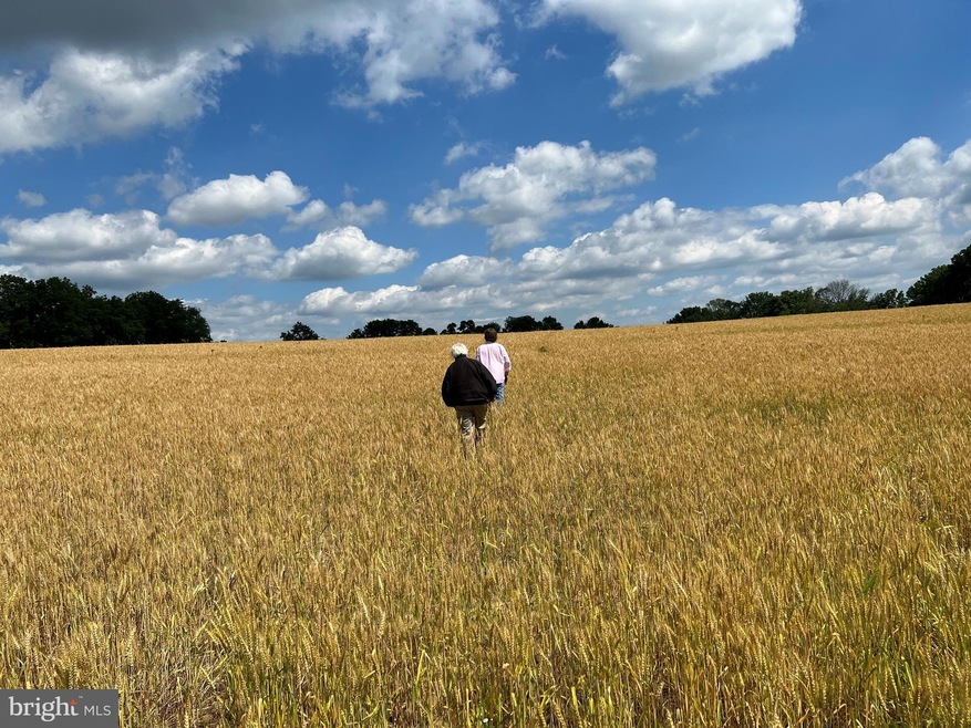 323 Stoney Knoll Ln, Berwyn, PA 19312 - photo 1