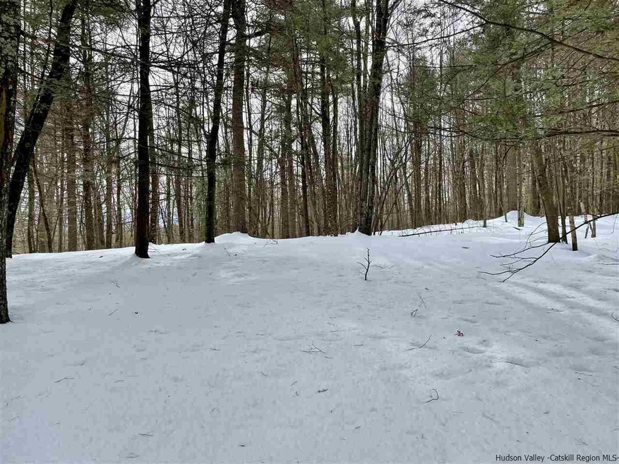 TBD Smith Ln, Accord, NY 12404 - photo 1