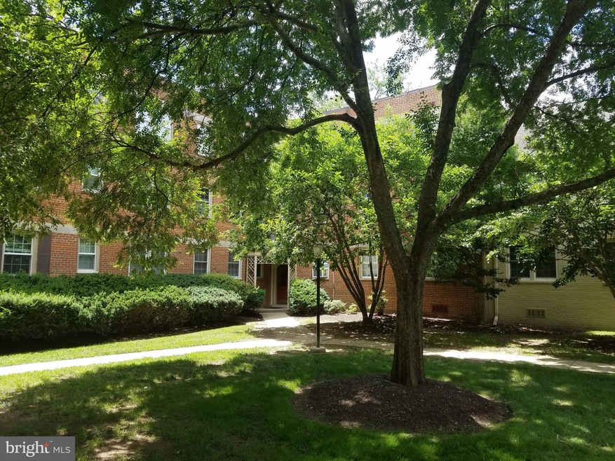 2408 Colston Dr unit 101, Silver Spring, MD 20910 - photo 1