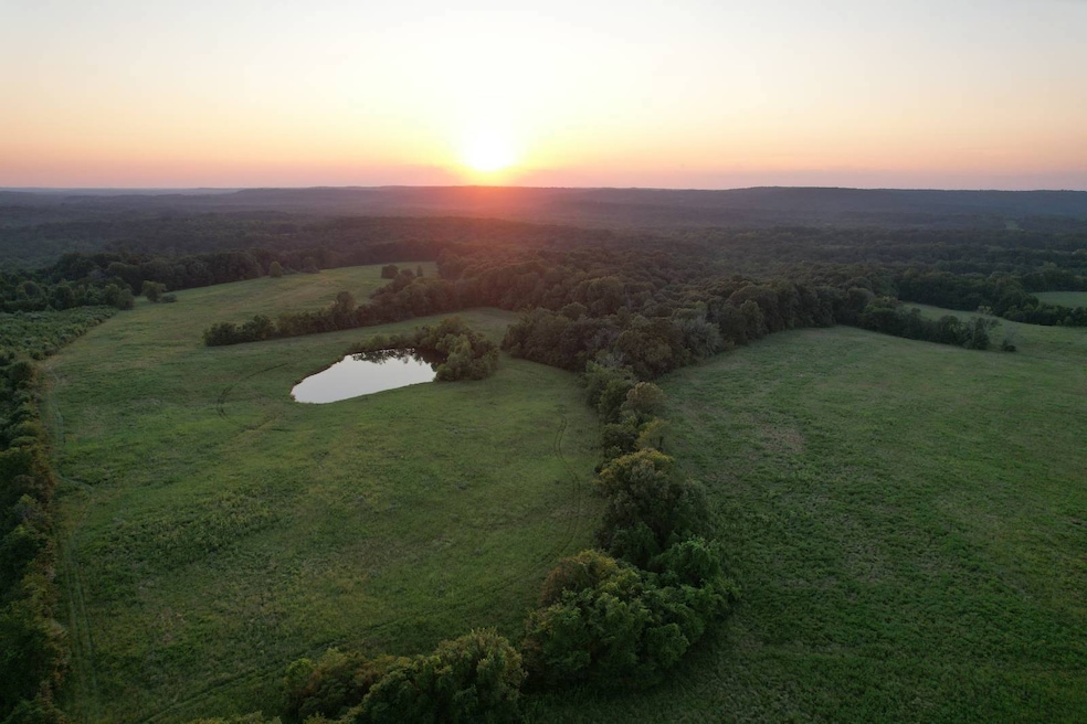 79 Coon Hunters Rd, Golconda No. 2 Precinct, IL 62938 - photo 1