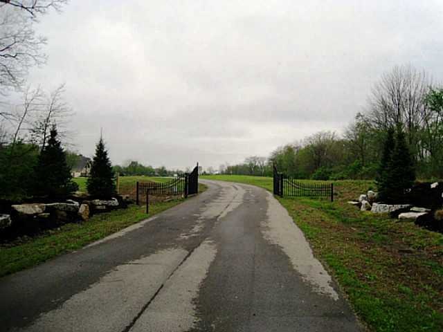 Primary Photo