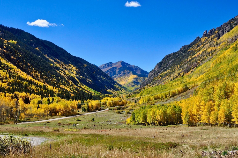 0 Aurum St unit 1-8, Ophir, CO 81426 - photo 1