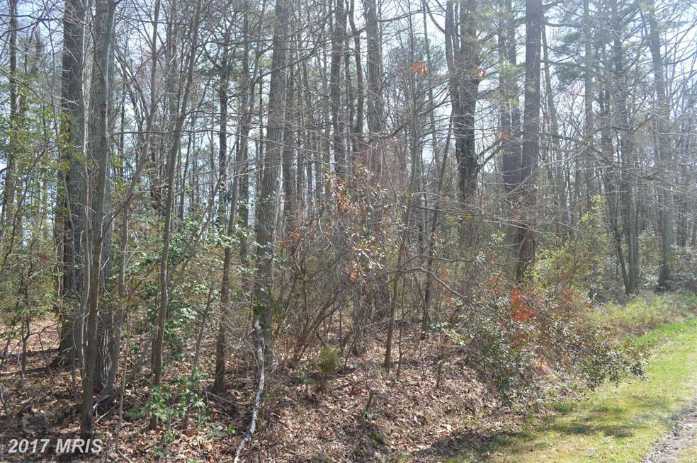 0 Nicholson Dr unit 1000407513, Colonial Beach, VA 22443 - photo 1