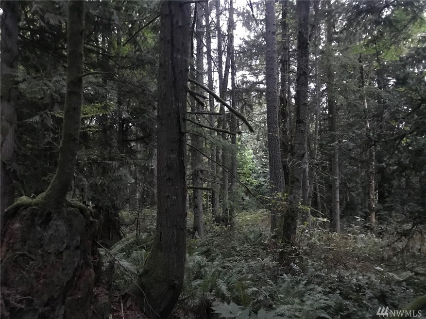 216 216th St E, Graham, WA 98338 - photo 1