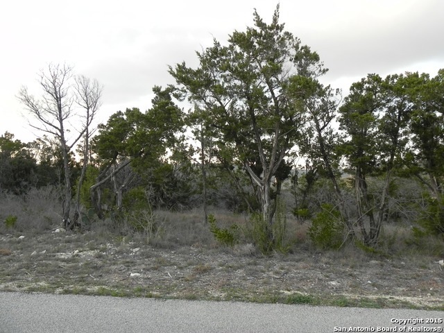 12331 Cross Cut, Helotes, TX 78023 - photo 1
