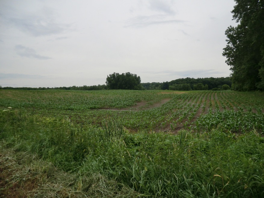 CIMG9558