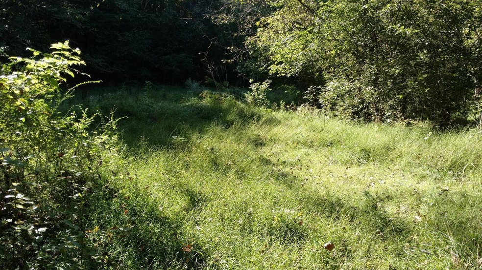 0000 Kidwell Ridge Rd, Morristown, TN 37814 - photo 1