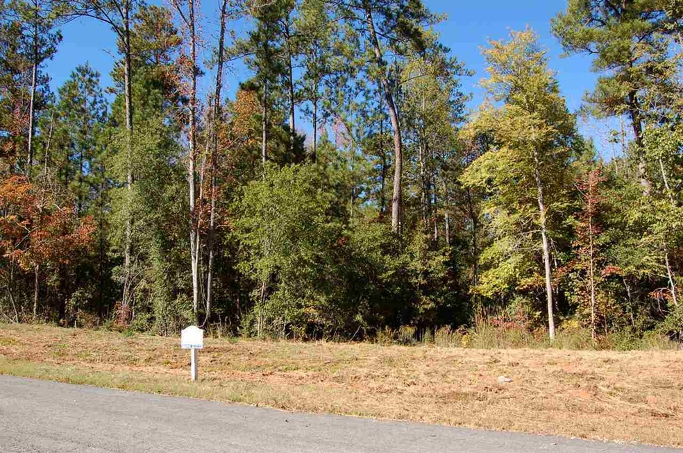 1230 Waterstone Dr, Madison, GA 30650 - photo 1