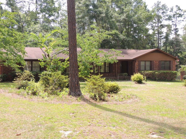 Main View