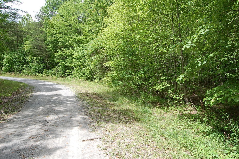 7 Bear Wallow Rd. - 1246393 001