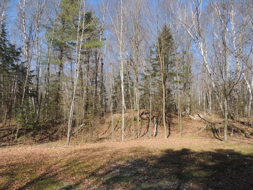 ON S Shore Ln unit 5.37 Ac., Deerbrook, WI 54424 - photo 1