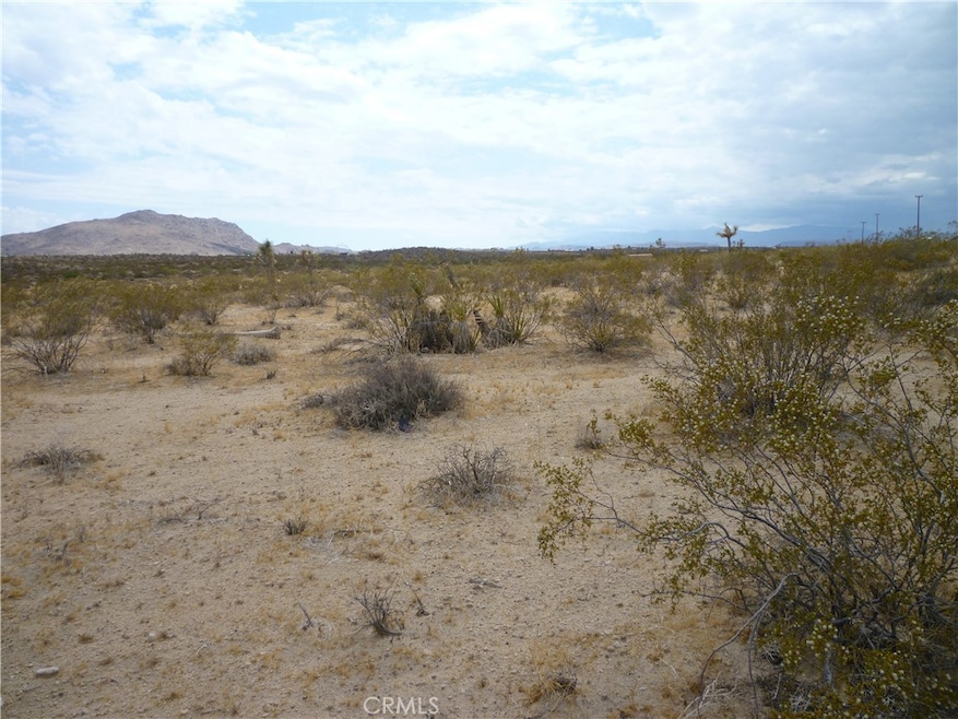 2345 Sunny Sands Dr, Joshua Tree, CA 92252 - photo 1