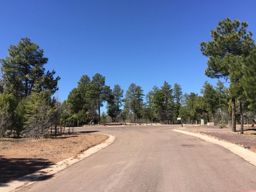 240 Cedar Breaks Ave unit 289, Show Low, AZ 85901 - photo 1