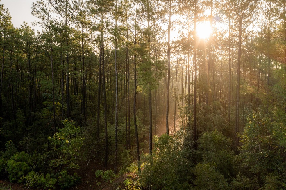 12038 Compassion Ln, Willis, TX 77378 - photo 1