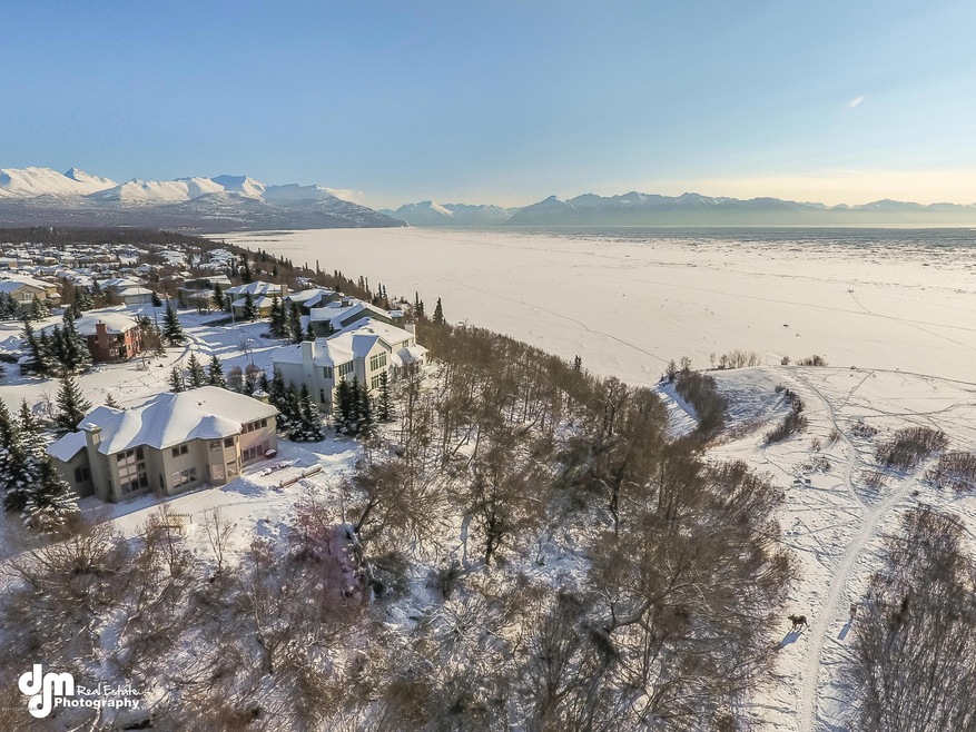 Inlet & Chugach Views