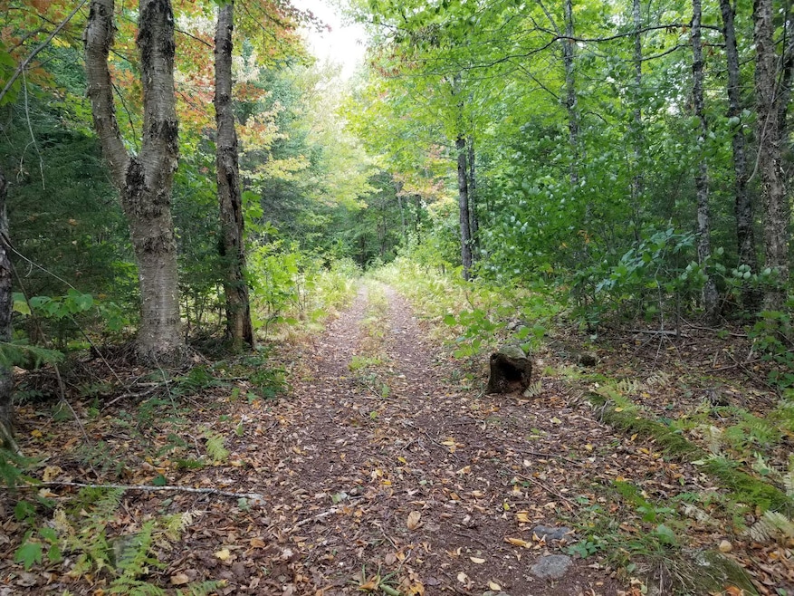 ATV trail at end of Beaver Lane