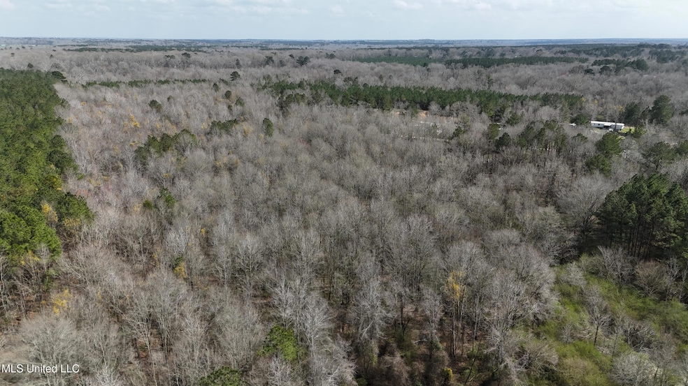 dji_fly_20250313_144140_0471_17418949735