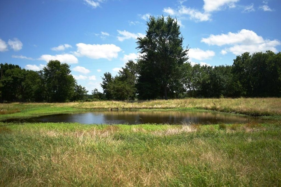 TBD Cr4236, Bonham, TX 75418 - photo 1