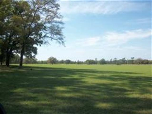 632 Jack Crum Rd unit x, Crawfordville, FL 32327 - photo 1