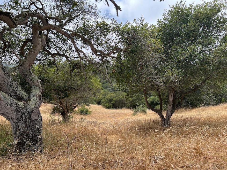 For Sale $499,000 • Co-Listing Agent