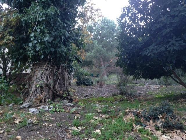 0 Benedict Canyon Dr unit SR13246756, Beverly Hills, CA 90210 - photo 1