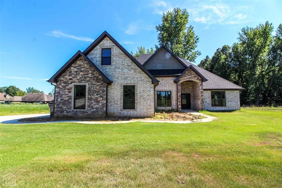 3206 Fairview Rd, Paragould, AR 72450 - photo 1