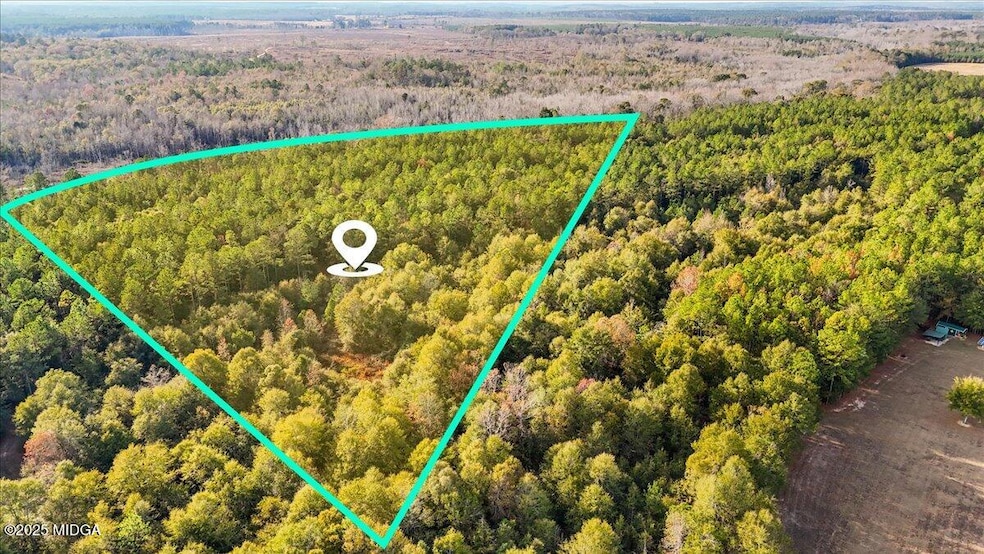 0 Massey Rd unit 182406, Tennille, GA 31089 - photo 1