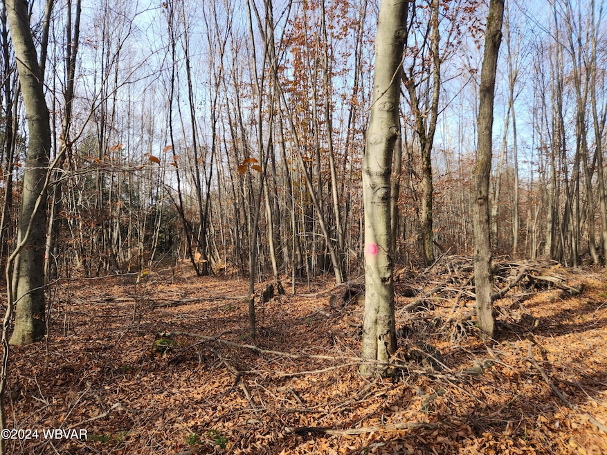 0 Pole Bridge Rd unit LOT 39 WB-100451, Laporte Township, PA 17758 - photo 1