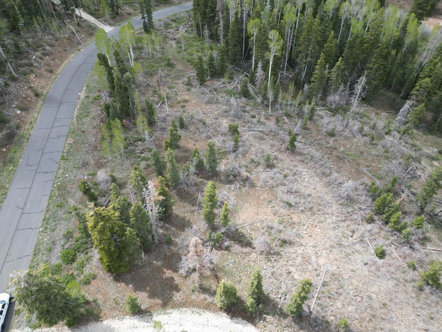 0 Rd unit 25-261251, Kolob, UT 84779 - photo 1