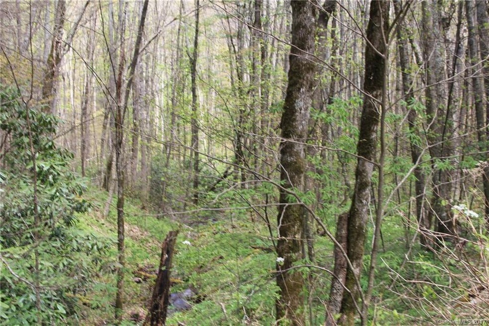0000 Big Spring Trail unit 61, Qualla, NC 28719 - photo 1
