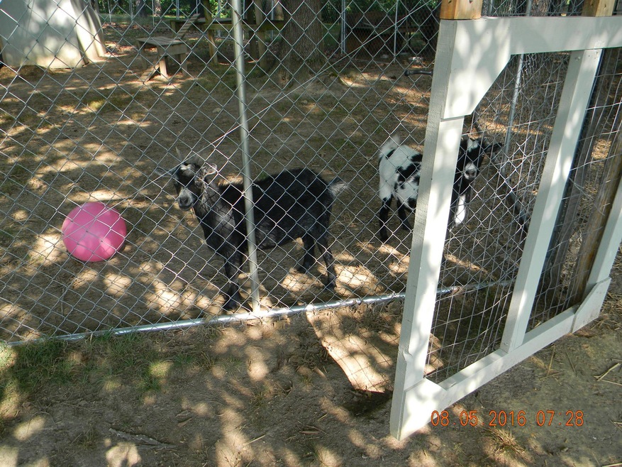 225 Temple Ford Rd, Shelbyville, TN 37160 - photo 1