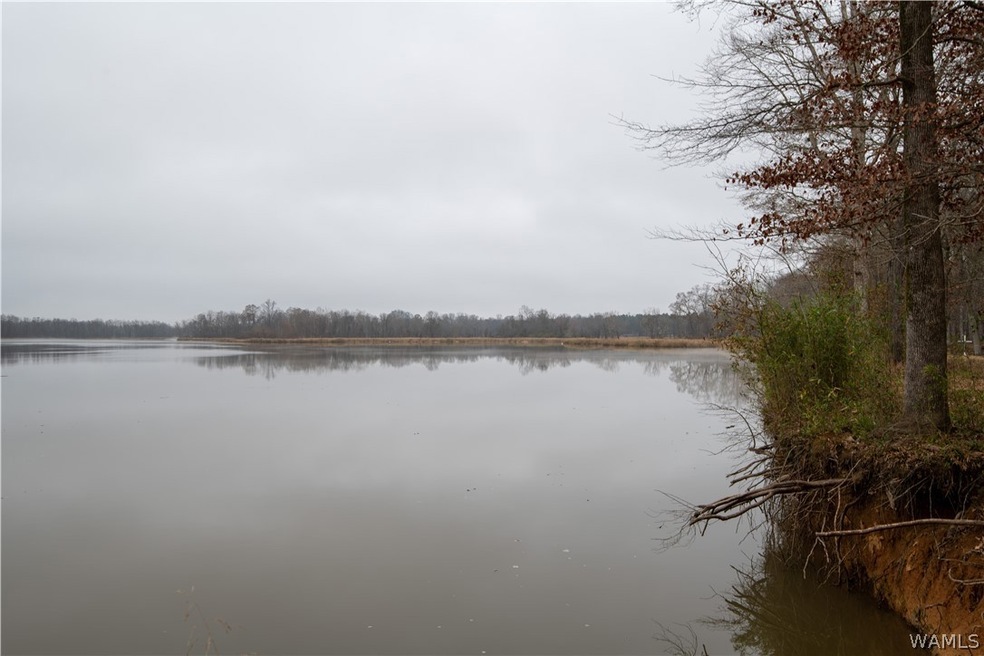 Beautiful views of river