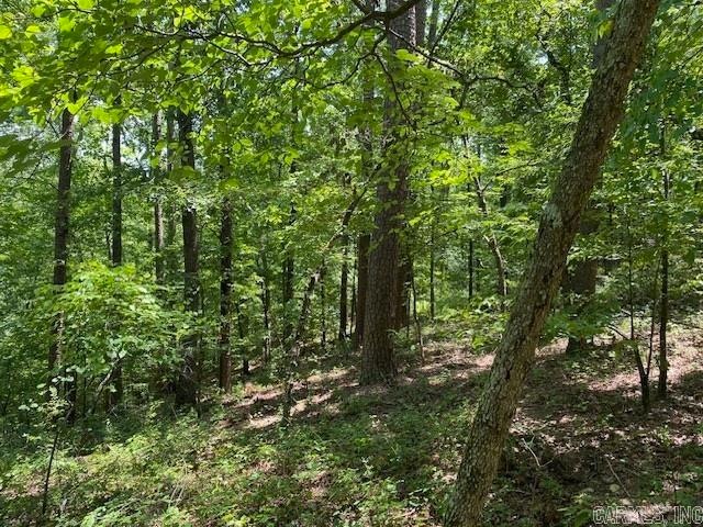 000 Little Blakely Creek Rd, Buckville, AR 71949 - photo 1