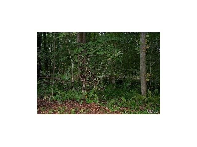 2 Briar Cliff Manor, Bethel, CT 06801 - photo 1