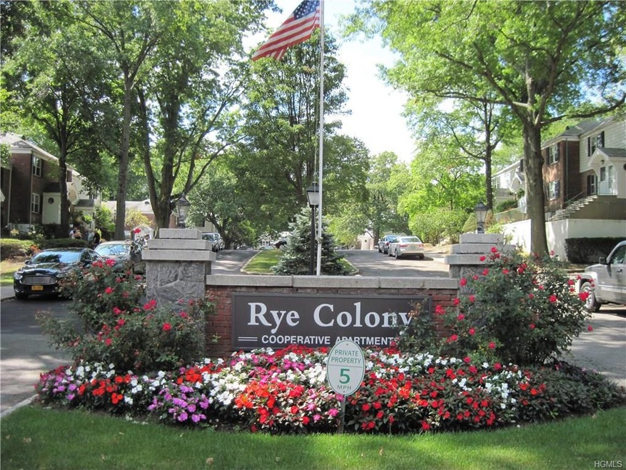 18 Peck Ave unit 18A, Rye, NY 10580 - photo 1