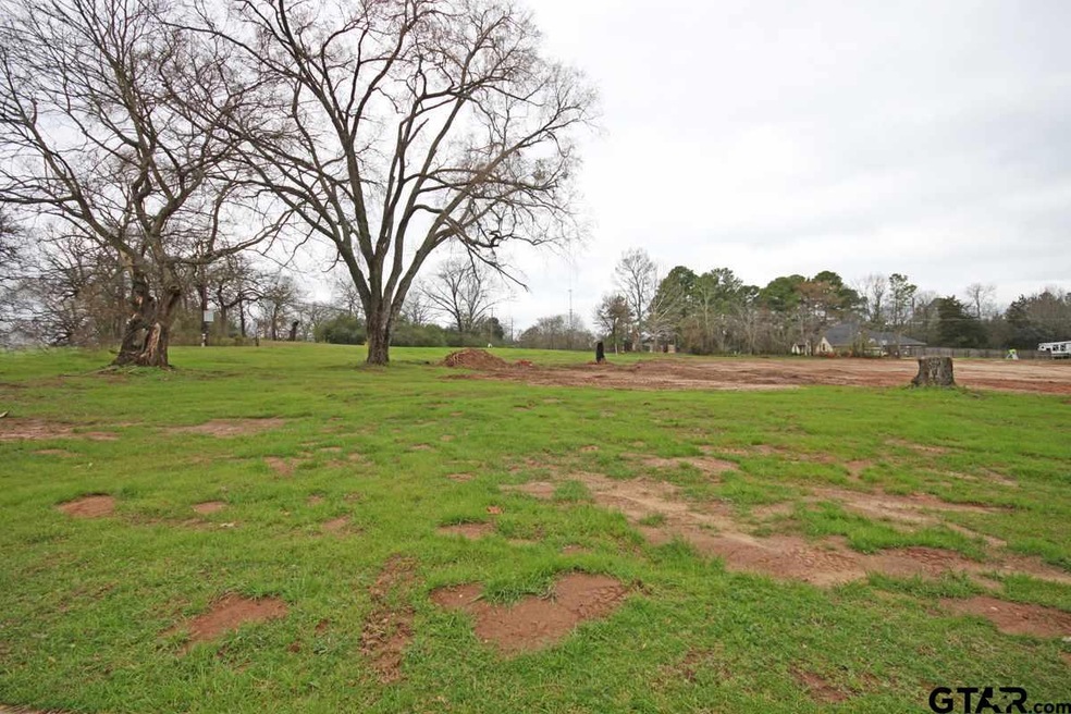 10840 County Road 2335, Tyler, TX 75707 - photo 1