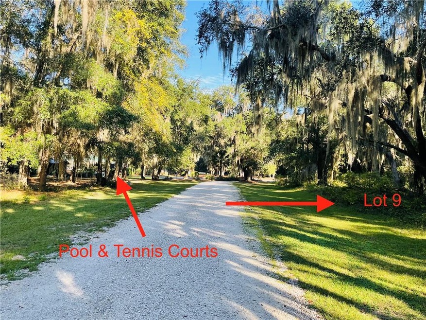 Lot 9 Carnochan Bluff, Darien, GA 31305 - photo 1