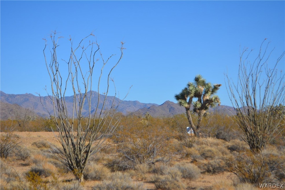 3176B Bronco Rd, Yucca, AZ 86438 - photo 1