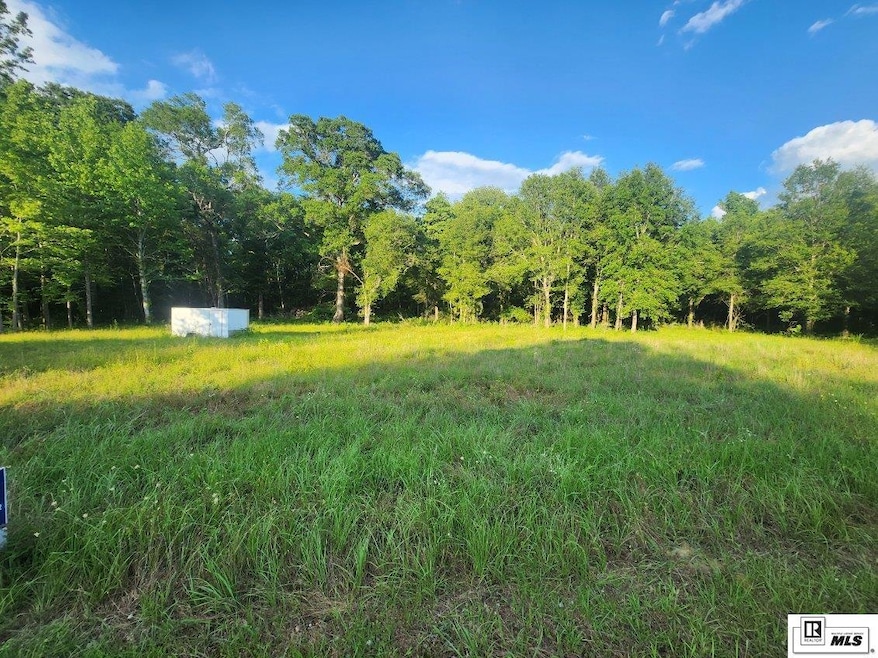 000 Tarver Rd, Mangham, LA 71259 - photo 1