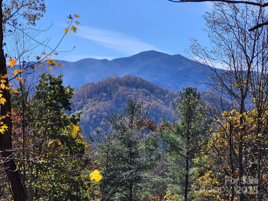 View of Cold Mountain from Lot